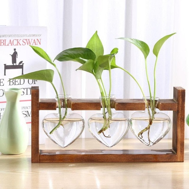 Wooden Frame Glass Hydroponic Plant Vase Vintage