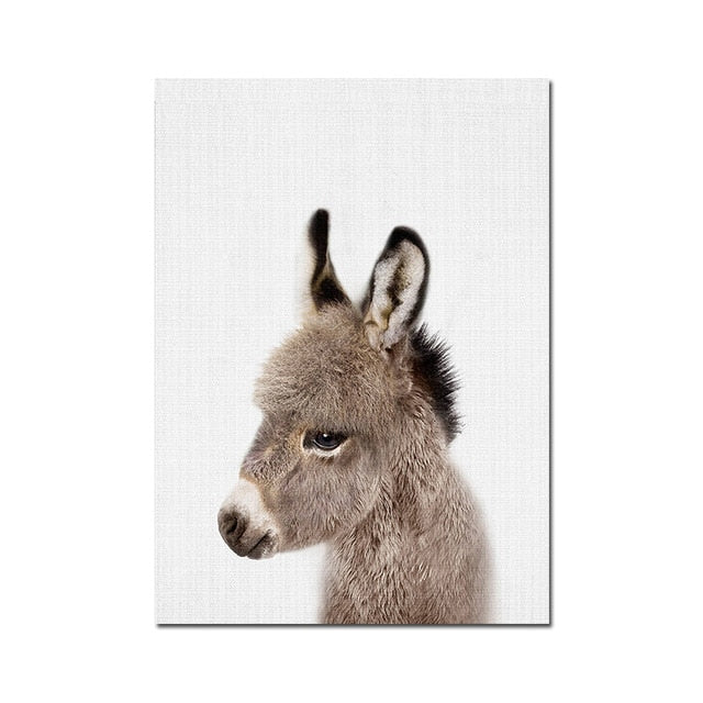 Baby Animal Posters and Prints