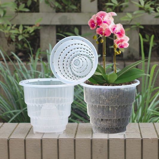 Plastic Clear Orchid Pot Planter Wall Good Drainage and Air Holes