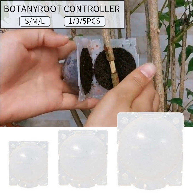 Plant Rooting Ball Plant Root Growing Box