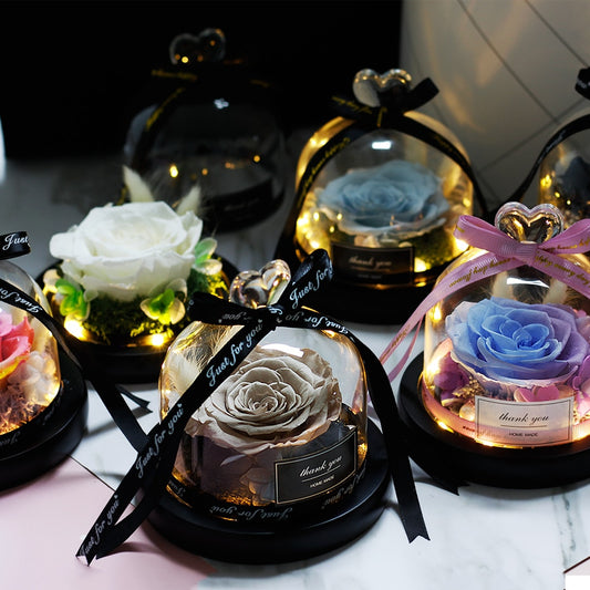 Eternal Rose Preserved Dried Flower for Home