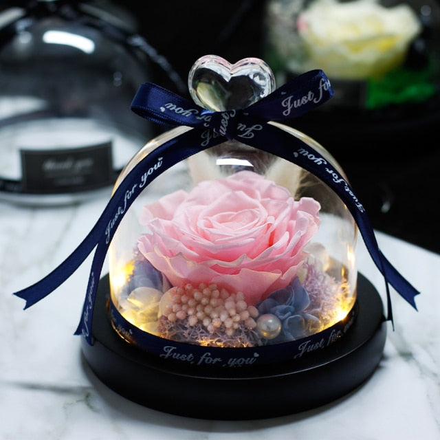 Eternal Rose Preserved Dried Flower for Home